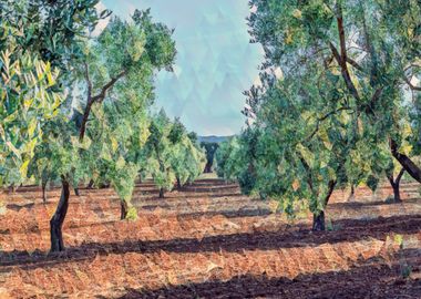 Countryside of Salento