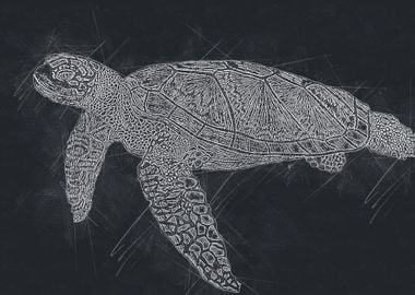 Turtle Drawing