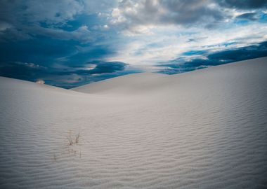 White Sands