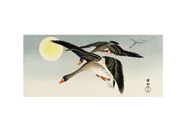 Birds At Full Moon