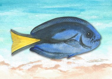 Dory Fish Watercolor