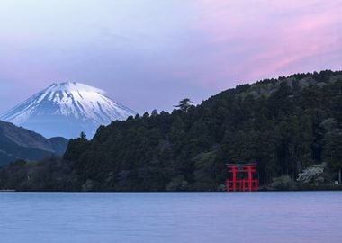 Pink Fuji