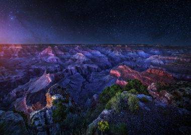 Grand Canyon Night