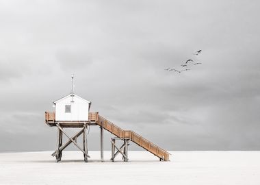 on the beach