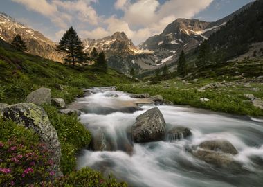 Maritime Alps Park