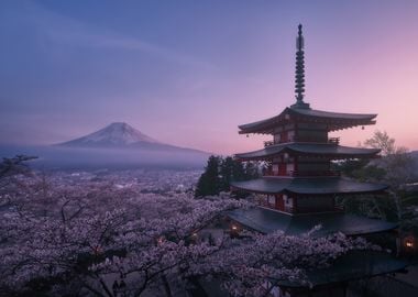 Mt Fuji Sakura