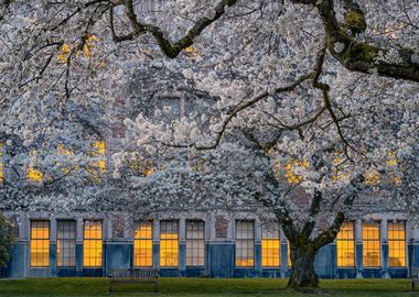 University of Washington