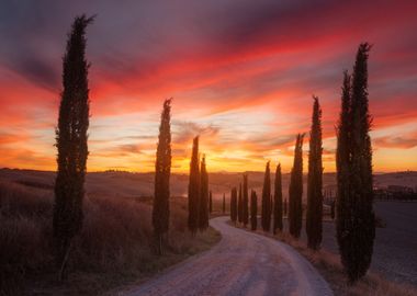 Tuscany sunset