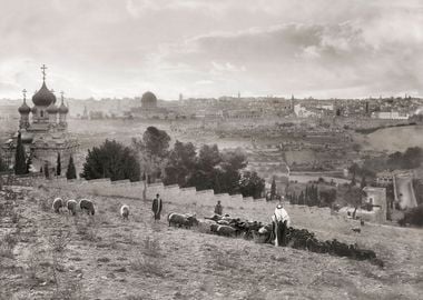 Jerusalem View Shepherd