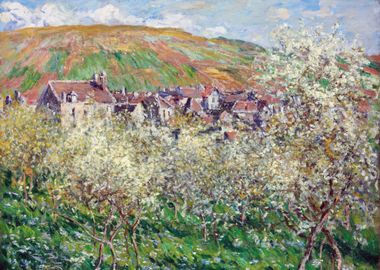 Plum Trees in Blossom