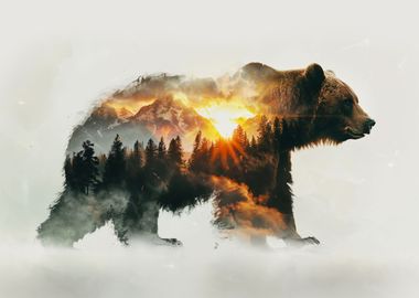 Bear and forest inside