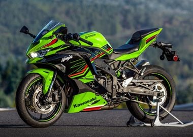 Kawasaki Ninja ZX4RR Spor