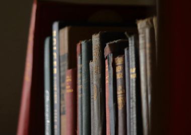 Old Library Shelf