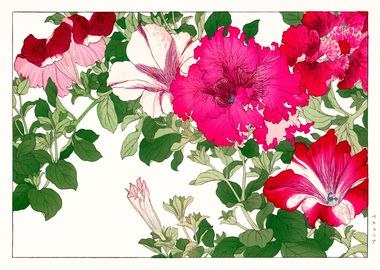 Petunia Vintage Artwork