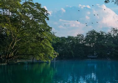 Lembah Lake UGM Yogyakarta