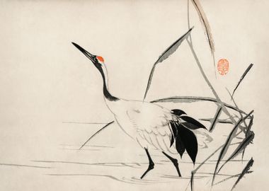 Japanese crane