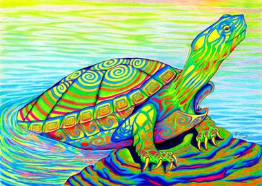 Painted Turtle