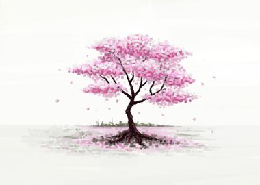 Cherry Blossom Tree