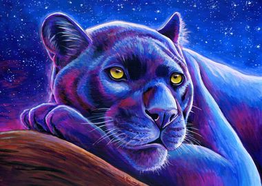 Stargazing Black Leopard