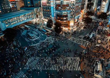 Shibuya Crossing at night