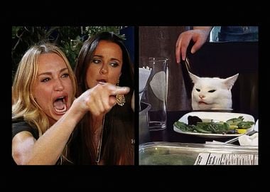 Woman yelling at cat Meme