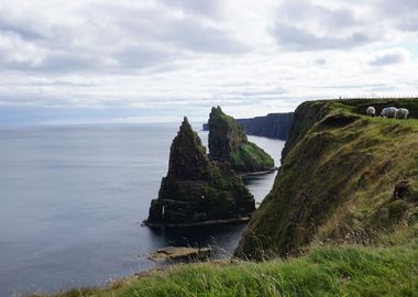 Duncansdy Head