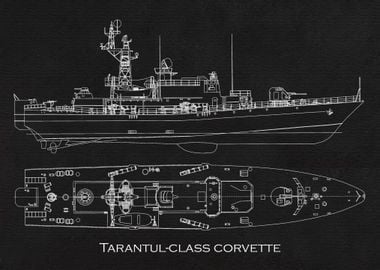 Tarantulclass corvette