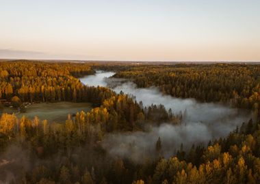 bird view of sunrise