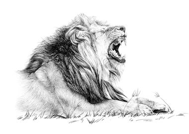 Hand drawing lion