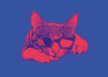 Cool cat with sunglasses