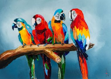 Company of parrots