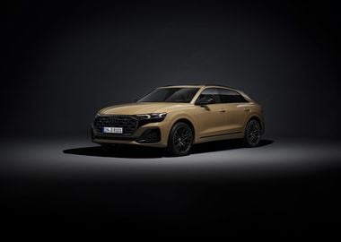 Audi q8 55 tsfi