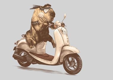 Bull Scooter Motorcycle