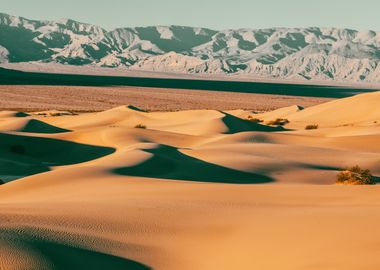 Desert Dunes Landscape