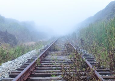 Foggy Railroad Tracks