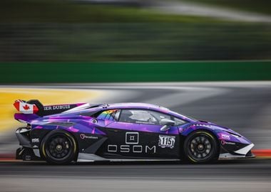 Purple Lamborghini Race Car