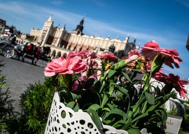 Pink Flowers in City Square