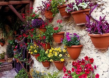 Wall of Flowers