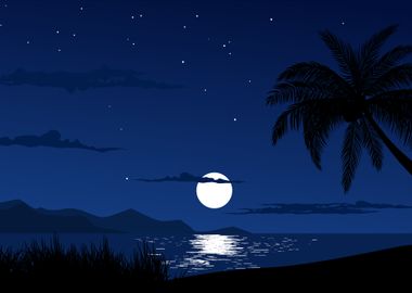 Tropical Night Scene