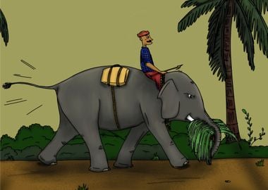 Elephant Rider in Jungle