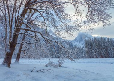 Snowy Yosemite