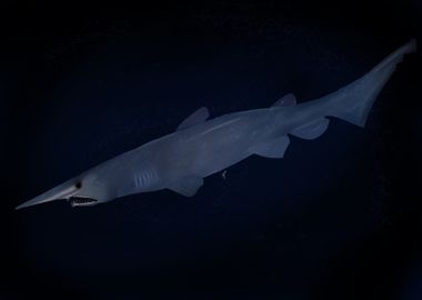 Goblin Shark in Deep Sea