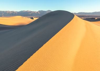 Mesquite Sand Dune Landscape