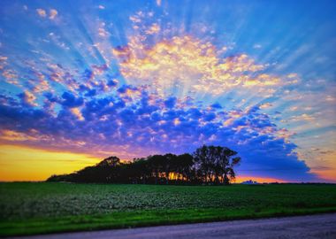 Sunrise Over Field