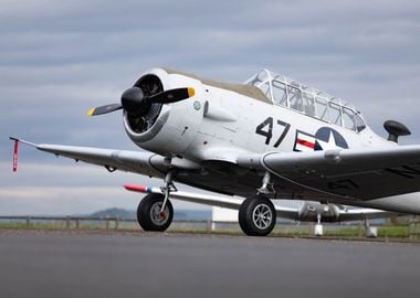 Vintage Airplane on Runway