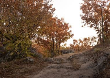 Fall in the countryside 