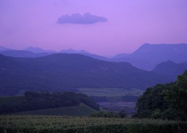 Italian Purple Hour