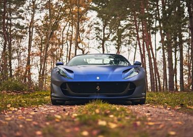 Ferrari in Forest