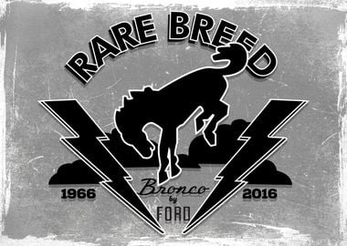 Rare Breed grey