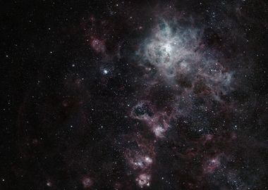 The Tarantula Nebula